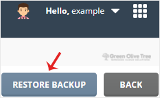 directadmin-topside-restorebtn.gif